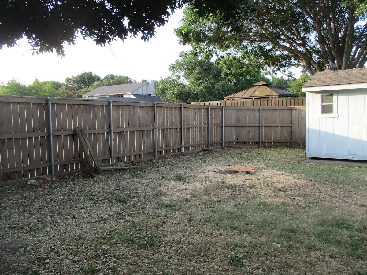 Cleared yard after professional tree removal in Bethel